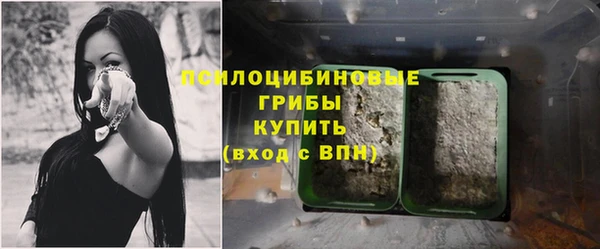 молекула духа Алексин