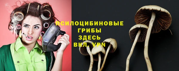 молекула духа Алексин