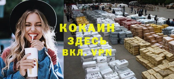 молекула духа Алексин