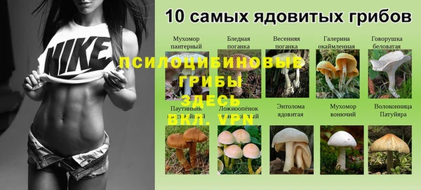 a pvp Алзамай