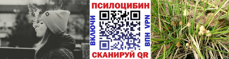Галлюциногенные грибы Psilocybe Гдов